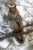 hanging_on_reduced