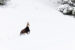 hanging_on_reduced